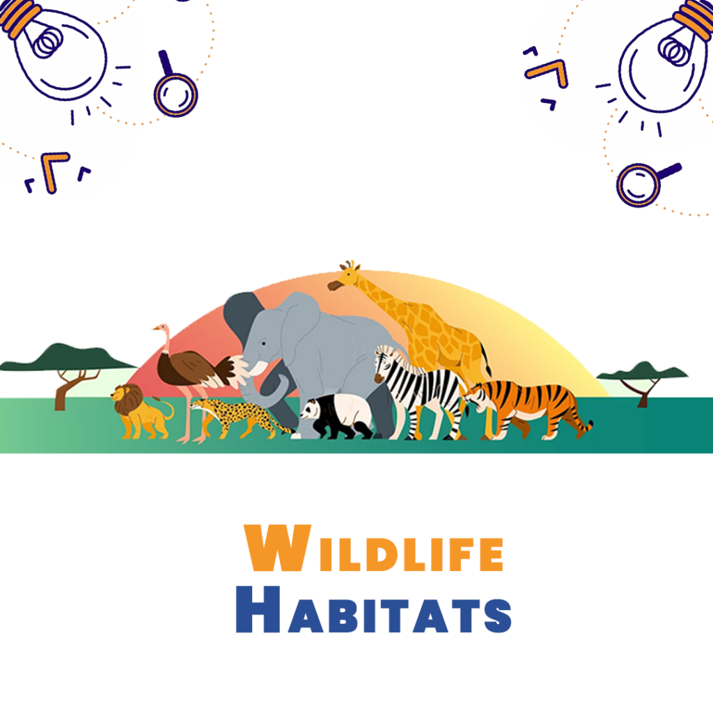 Wildlife Habitats