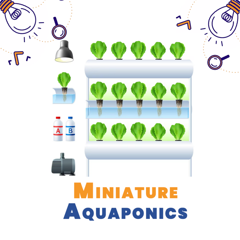 Miniature Aquaponics