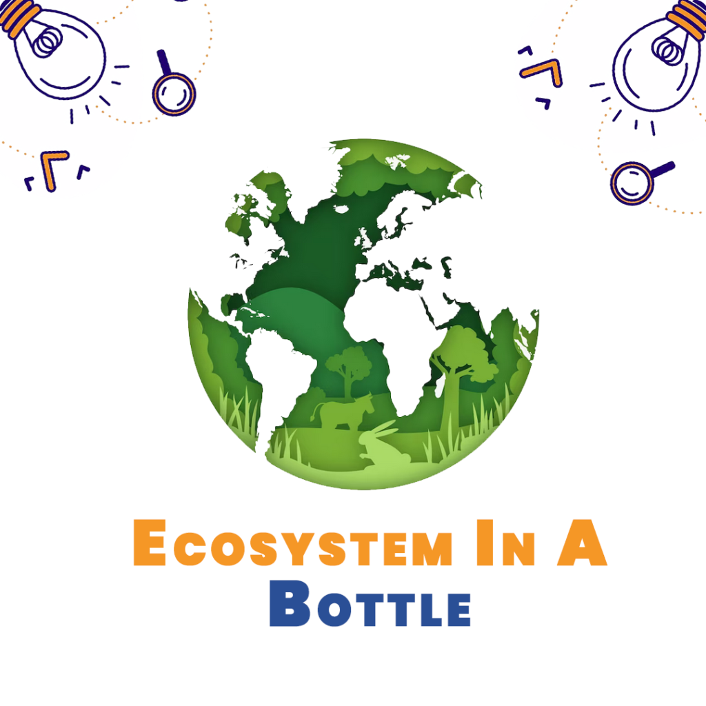 Ecosysystem in a Bottle